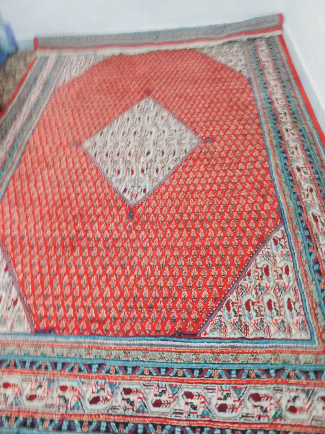 فرش دستبافت ۹ متری گل بوته اراک گوشت دار پر کرک|فرش|بروجرد, |دیوار