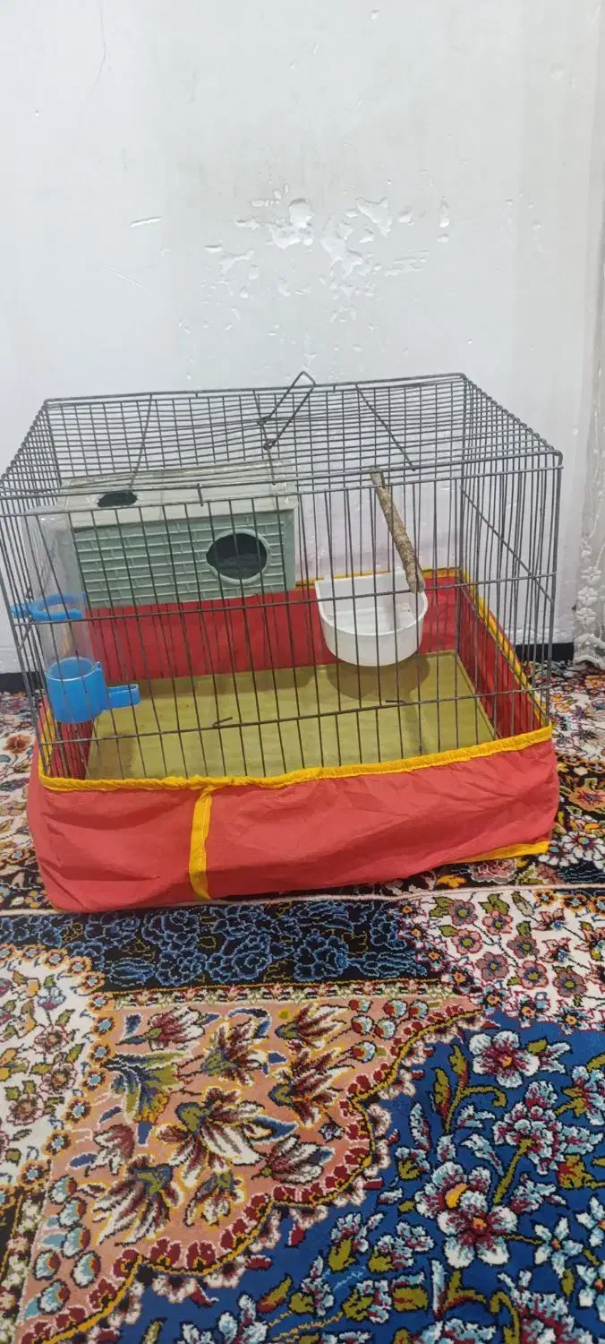 قفس پرنده|لوازم جانبی حیوانات|بوشهر, |دیوار