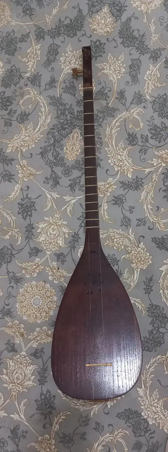 ساز تنبور|سازهای سنتی|ایلام, |دیوار