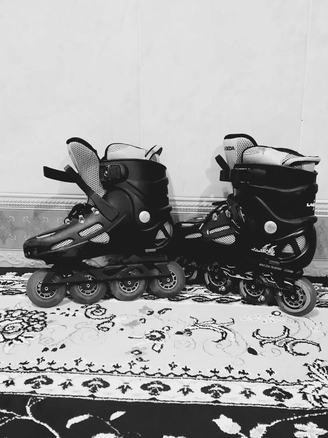 اسکیت|دوچرخه، اسکیت، اسکوتر|لردگان, |دیوار