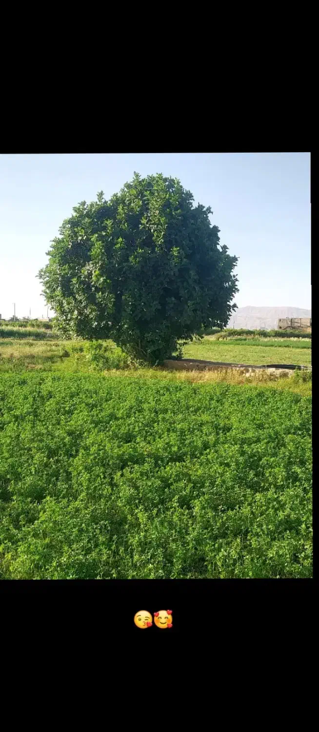 نیسان بار|خدمات حمل و نقل|داراب, |دیوار