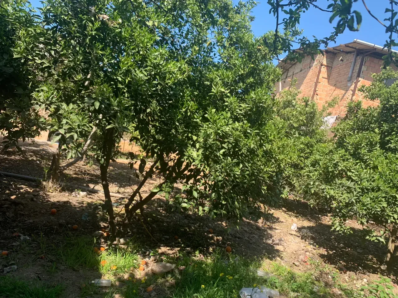 فروش خانه سرا|فروش زمین و ملک کلنگی|طبقده, |دیوار