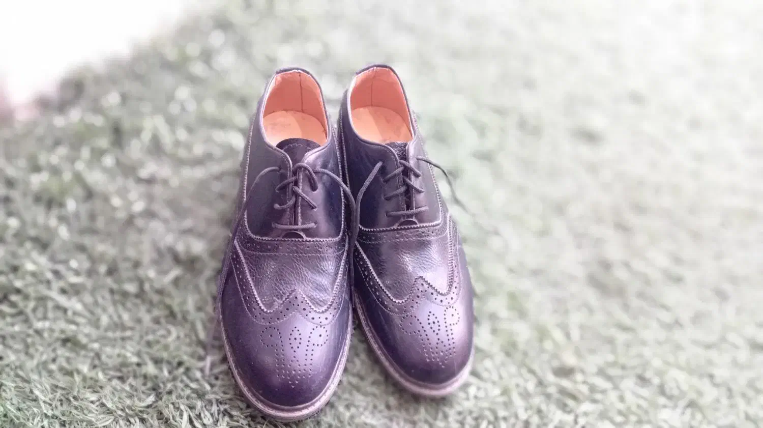 کفش مجلسی مردانه|کیف، کفش، کمربند|آبپخش, |دیوار