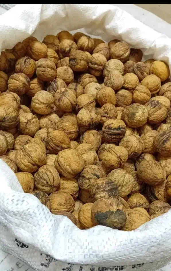 گرده|خوردنی و آشامیدنی|پلدشت, |دیوار