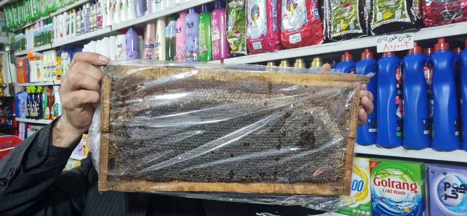 عسل طبیعی به شرط|خوردنی و آشامیدنی|رشت, معلولین|دیوار