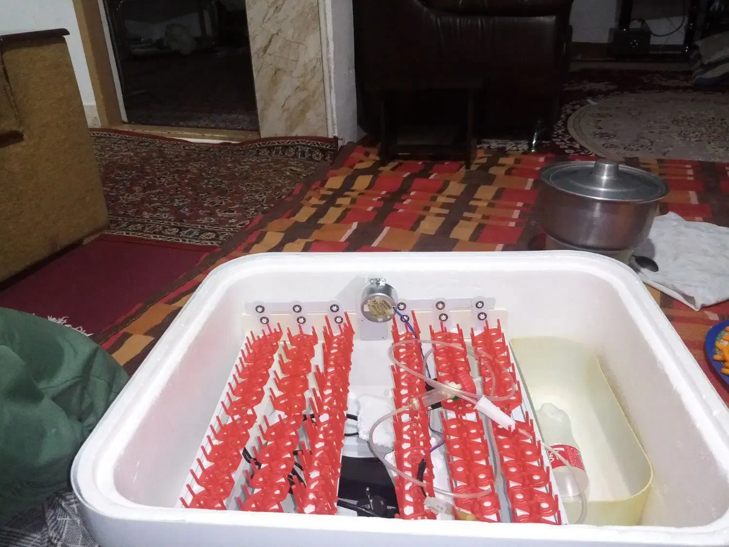 دستگاه جوجه کشی 96 تایی ایزی باتور 2|حیوانات مزرعه|بیرجند, |دیوار