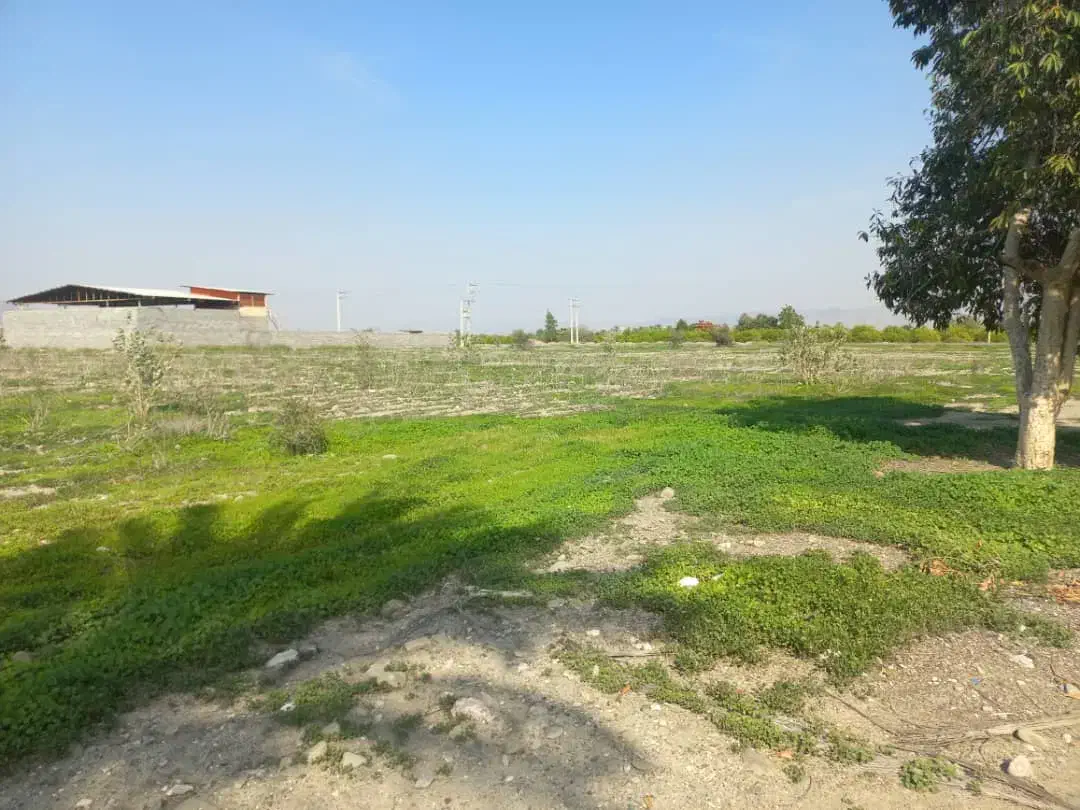 فروش زمین تجاری|فروش زمین و ملک کلنگی|رودان, |دیوار