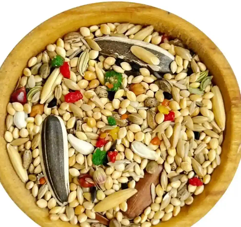 اصلاح بال پرندگان در منزل و خدمات دان و دارو|خدمات پیشه و مهارت|گنبد کاووس, |دیوار