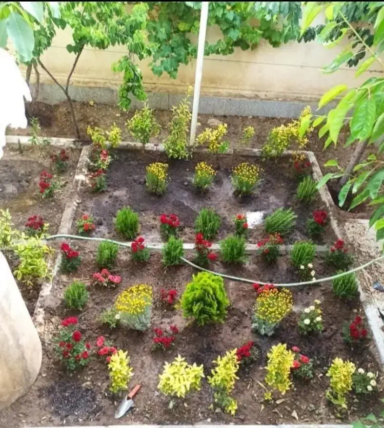 خدمات باغبانی گلکاری باغچه کاری درختکاری|خدمات باغبانی و درختکاری|شهریار, شهریار|دیوار