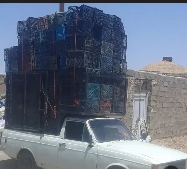 سبد وبادی|عمدهفروشی|محمدشهر, عباس آباد|دیوار