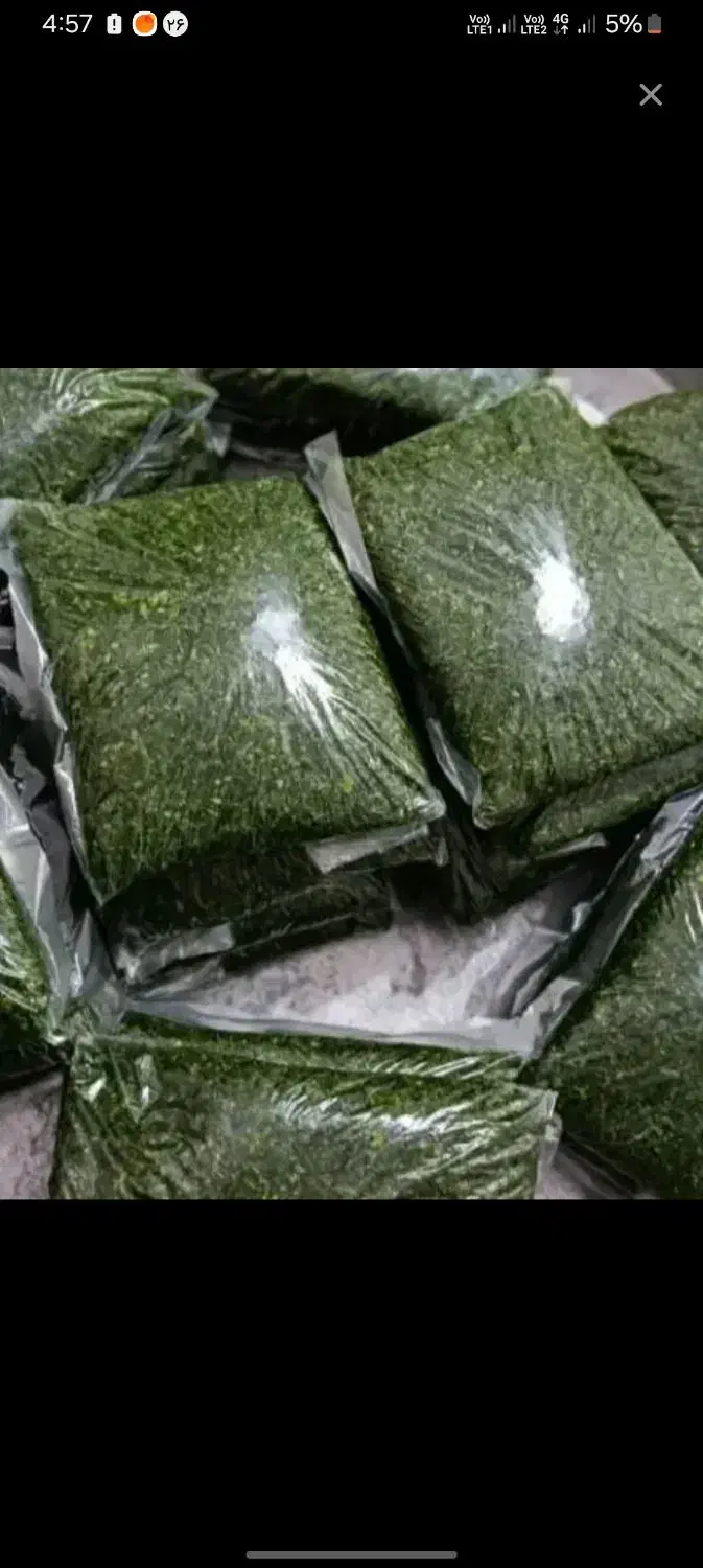 سبزی خورشتی|خوردنی و آشامیدنی|شیراز, شهرک امام حسن|دیوار