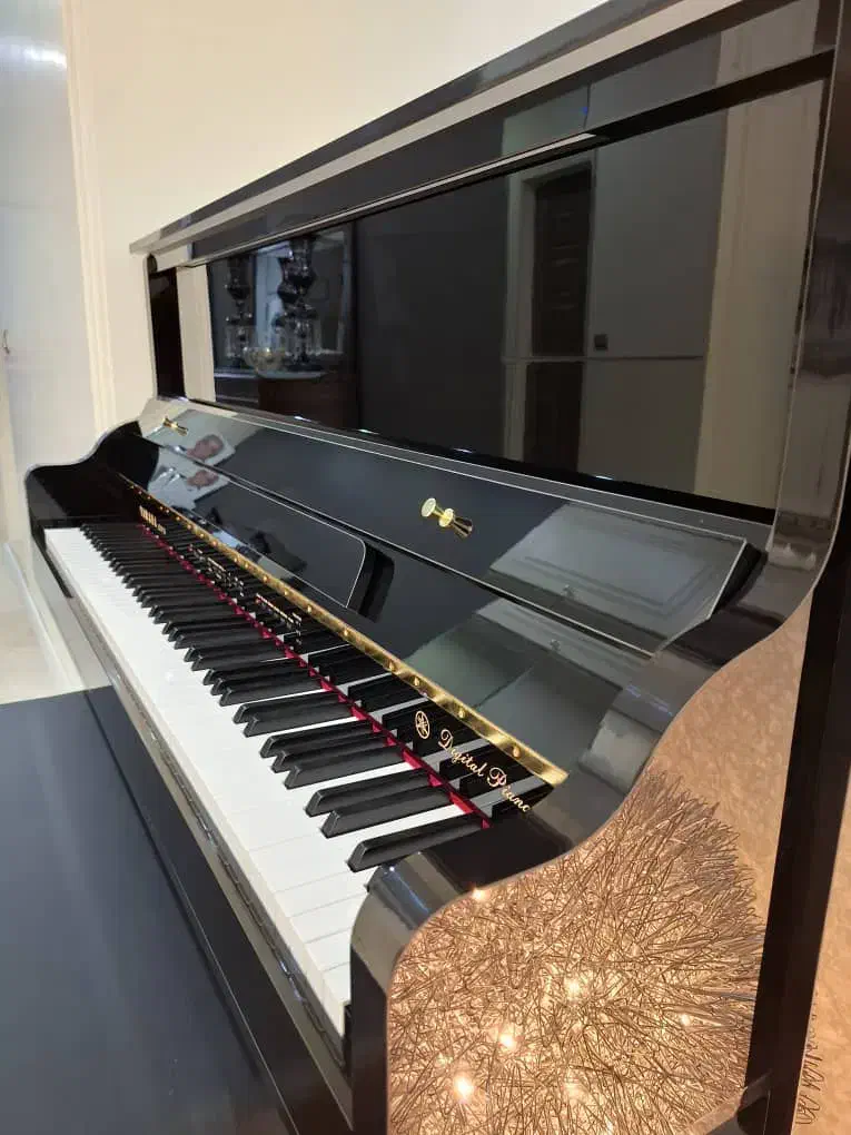 پیانو طرح آکوستیک شرکتی Yamaha P125 اقساطی|پیانو، کیبورد، آکاردئون|تهران, ونک|دیوار