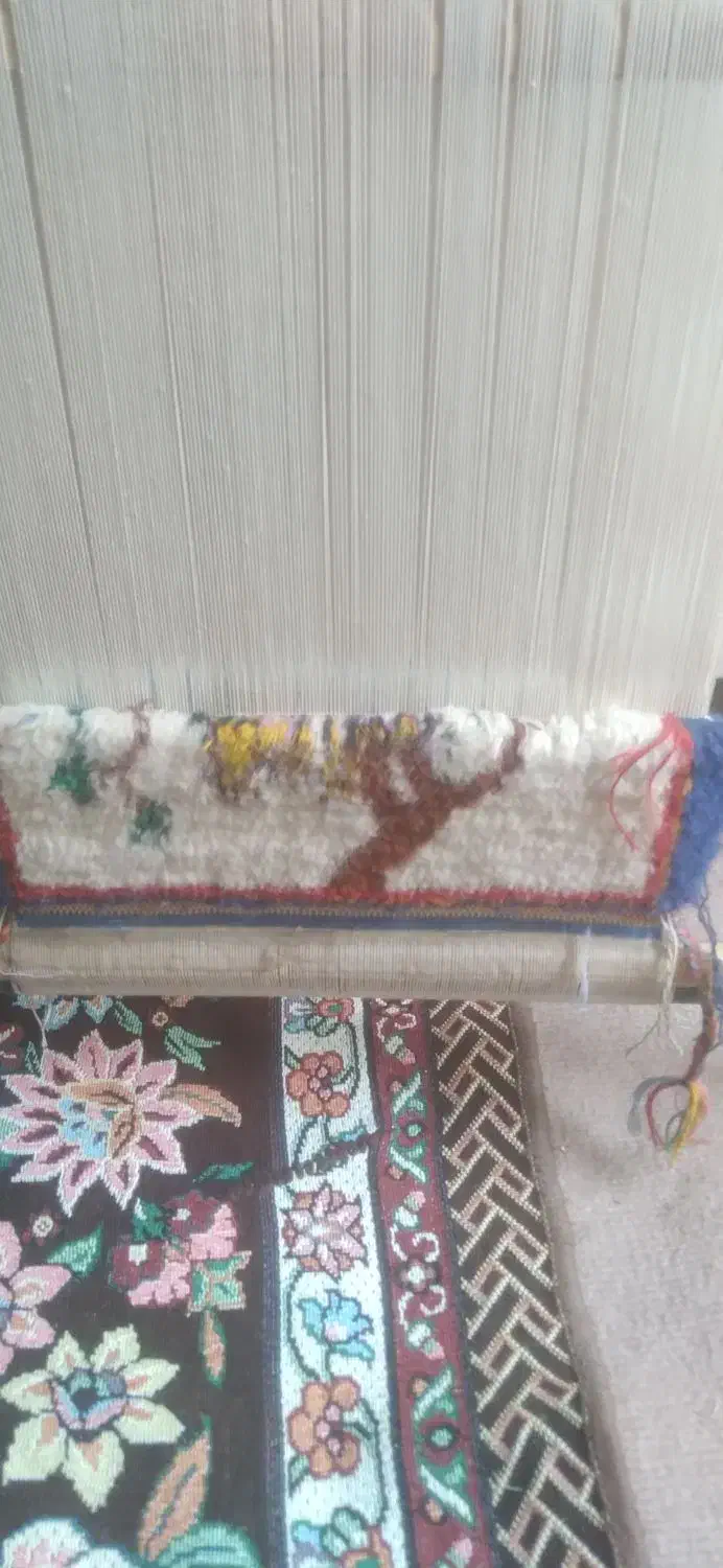 یک عدد دار تابلو فرش نیمه بافت|تابلو فرش|کرمان, |دیوار