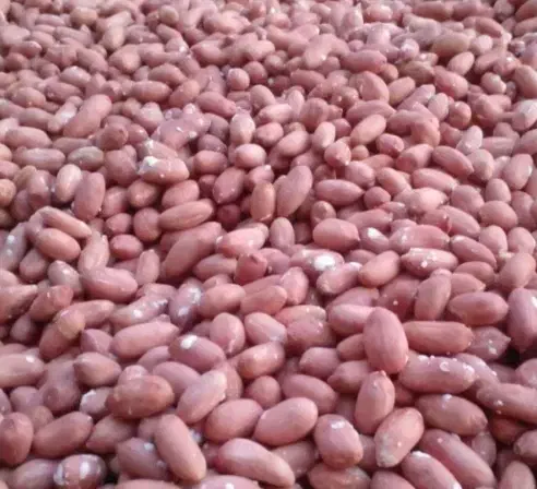 بادام کره گیری و برشته|خوردنی و آشامیدنی|تهران, زعفرانیه|دیوار