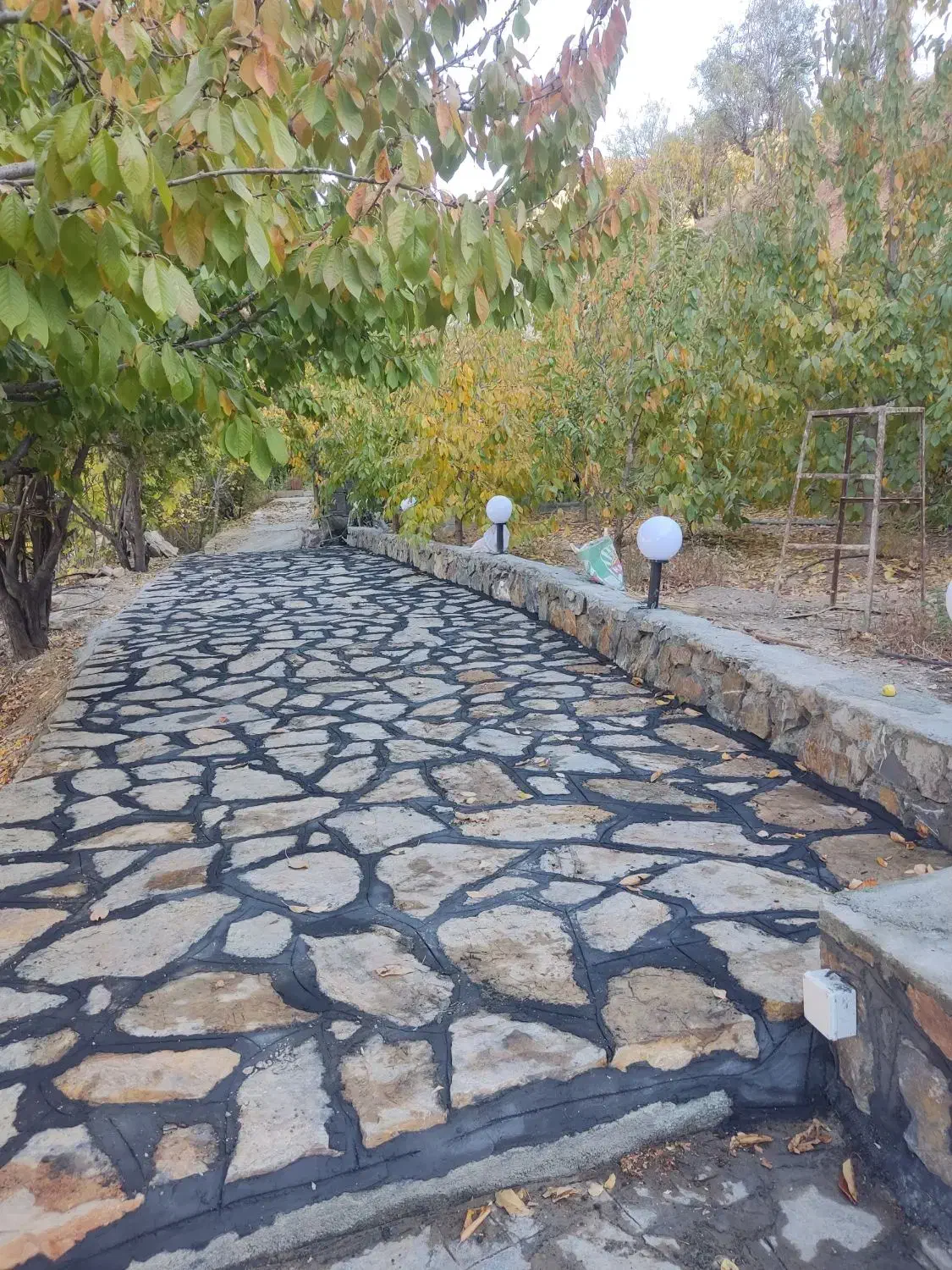 بنا ، بنایی ، سنگ فرش ، دیوارچینی|خدمات پیشه و مهارت|سنندج, |دیوار