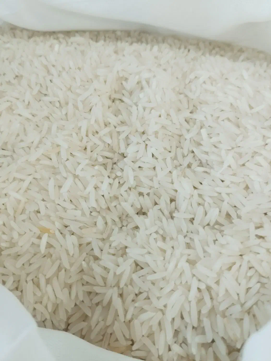 انواع برنج|خوردنی و آشامیدنی|یزد, |دیوار