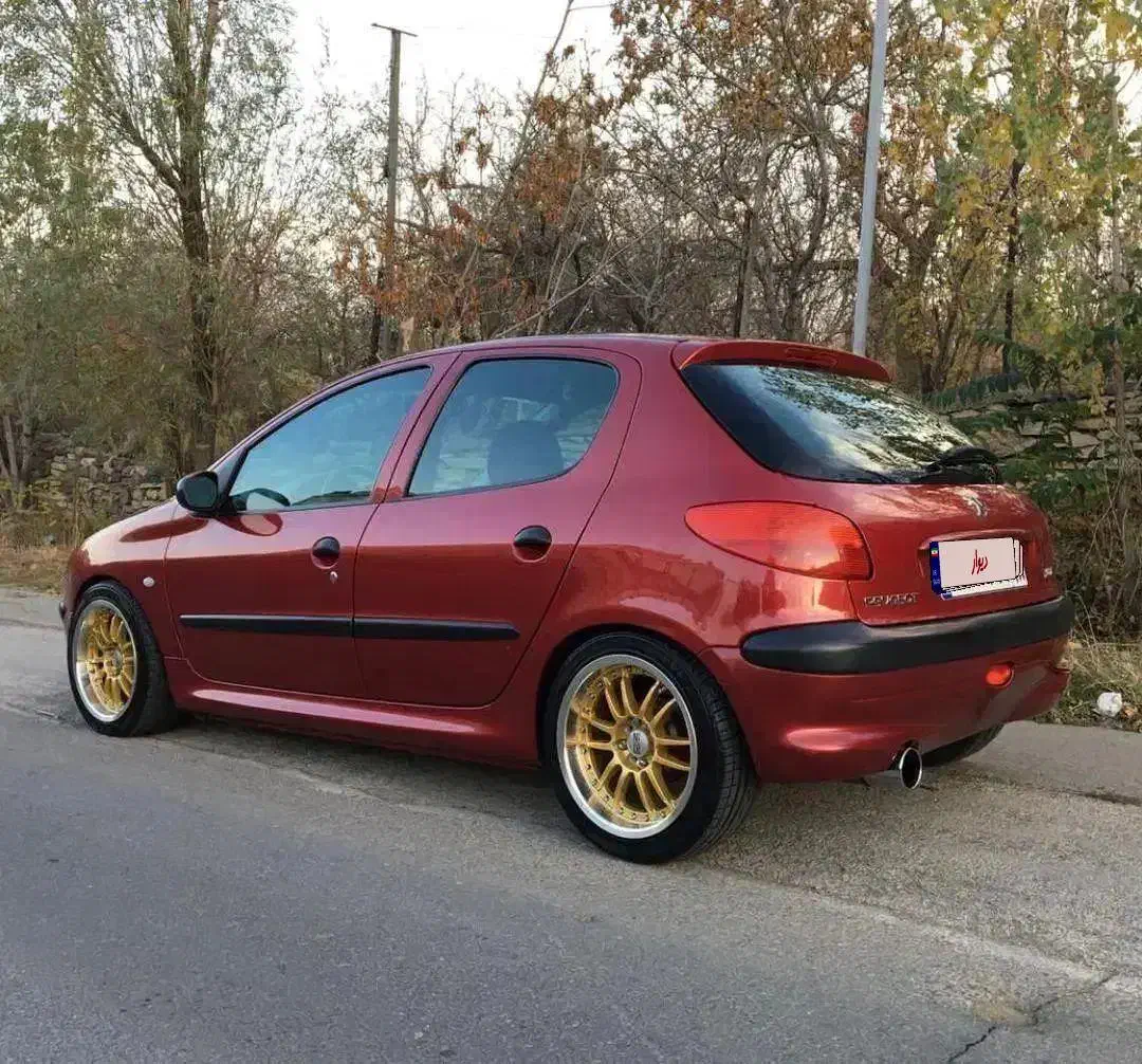 206 فرانسوی استثنائی|خودرو سواری و وانت|شیراز, قصرالدشت|دیوار