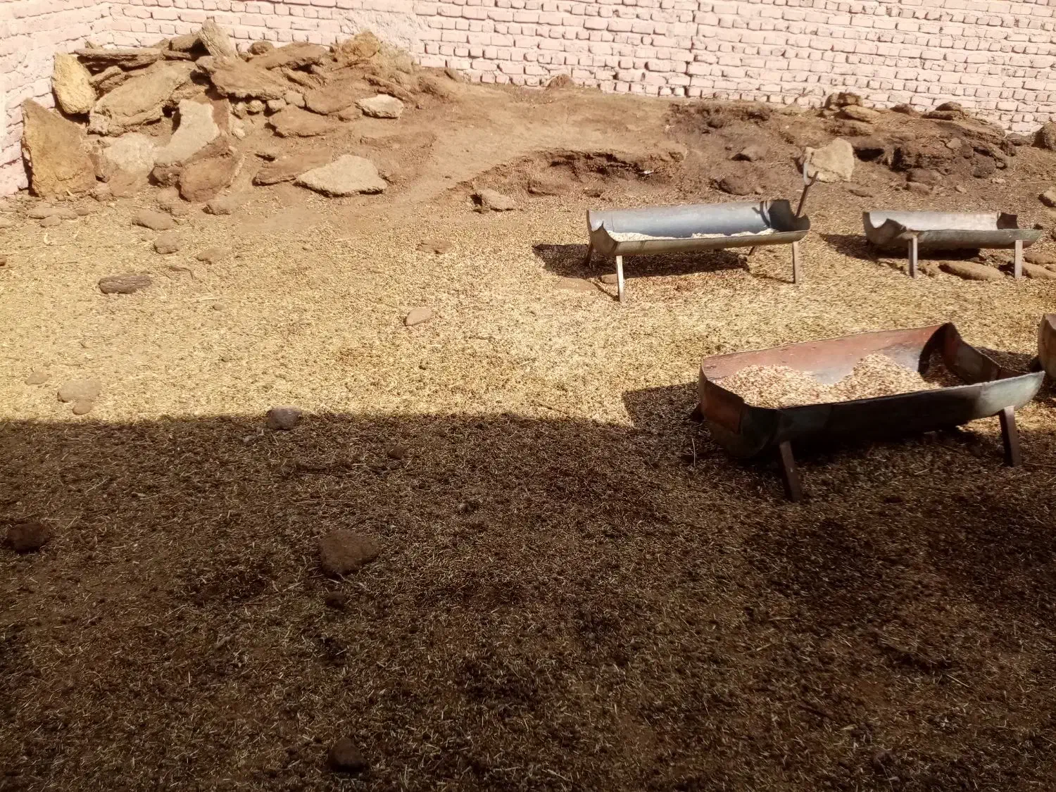 کود گوسفندی|خدمات باغبانی و درختکاری|چترود, |دیوار