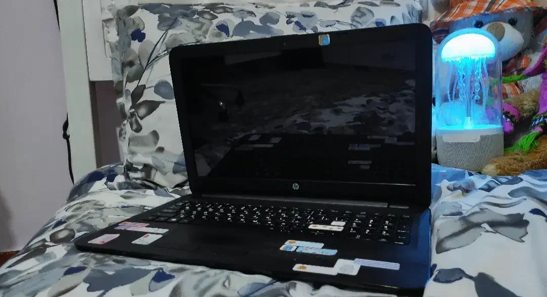 لپتاپ|رایانه همراه|بوشهر, |دیوار