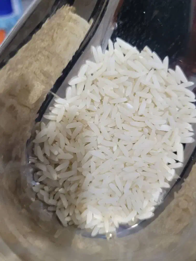 فروش قیمت طارم هاشمی اعلا از بابلسر|خوردنی و آشامیدنی|بابلسر, |دیوار