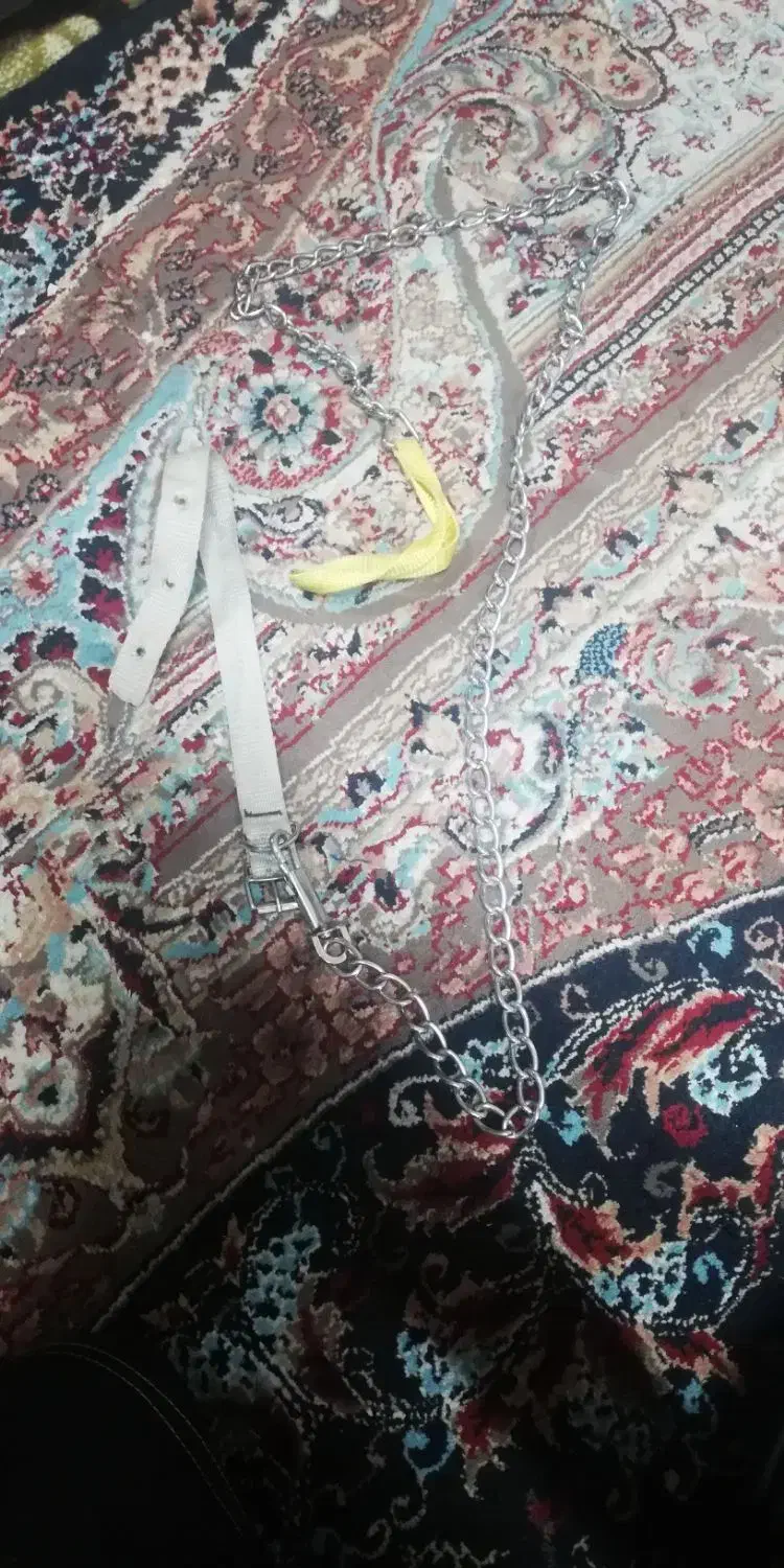 زنجیر سگ پاپه|لوازم جانبی حیوانات|تربت جام, یحیی آباد|دیوار