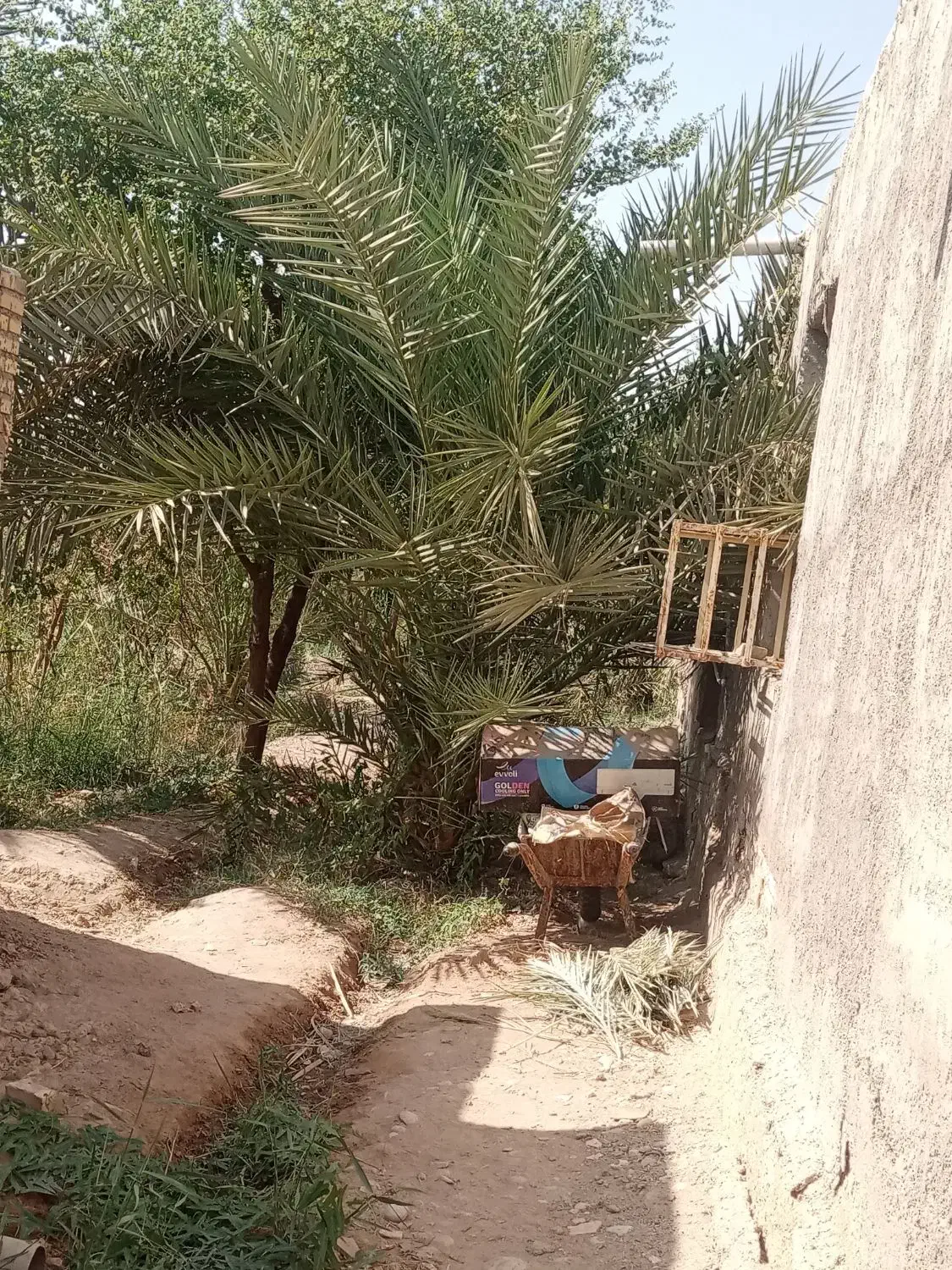 آروندکنار|فروش خانه و ویلا|آبادان, |دیوار