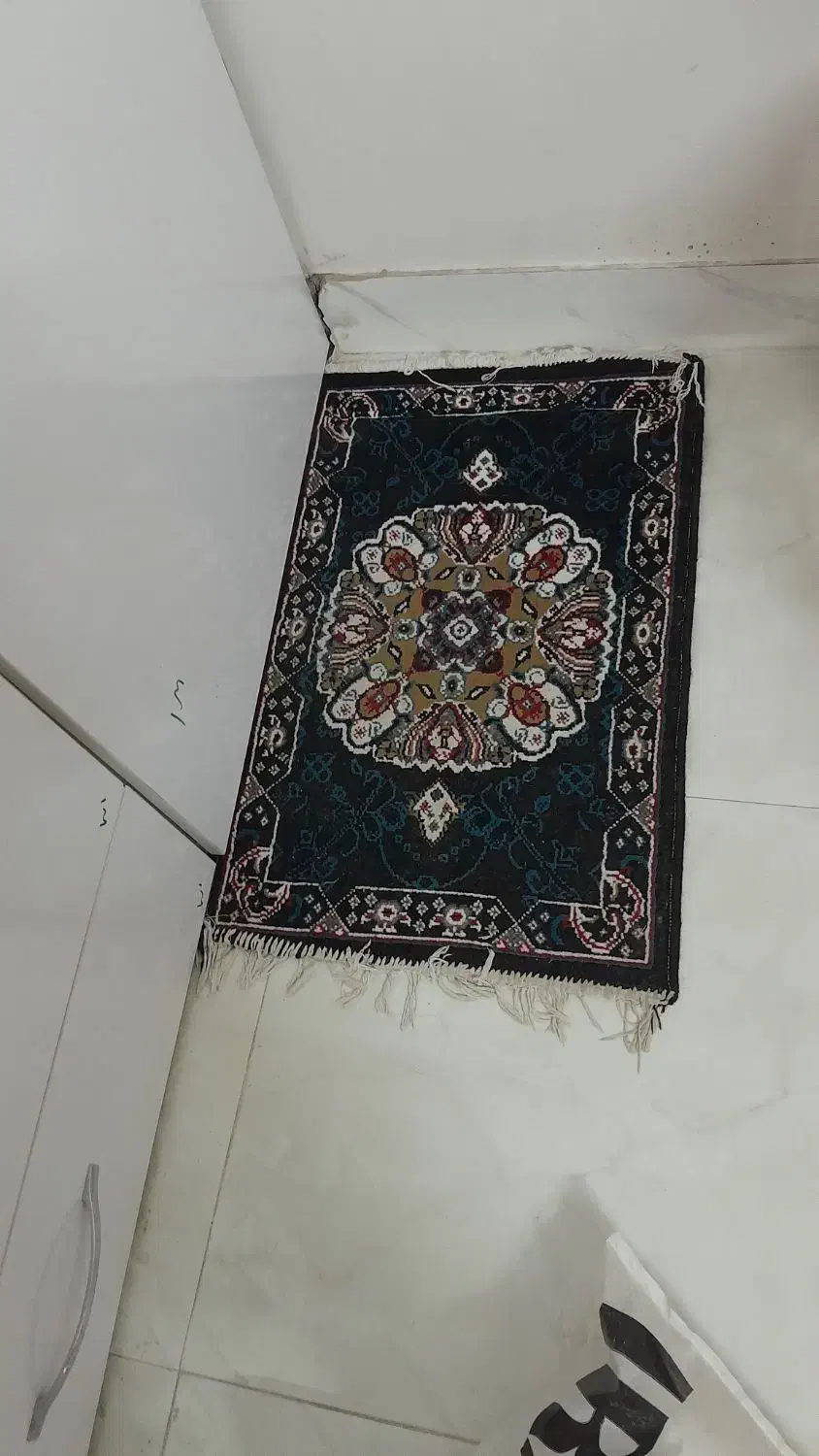 پادری سالم نو|پادری|نیشابور, فرح بخش|دیوار