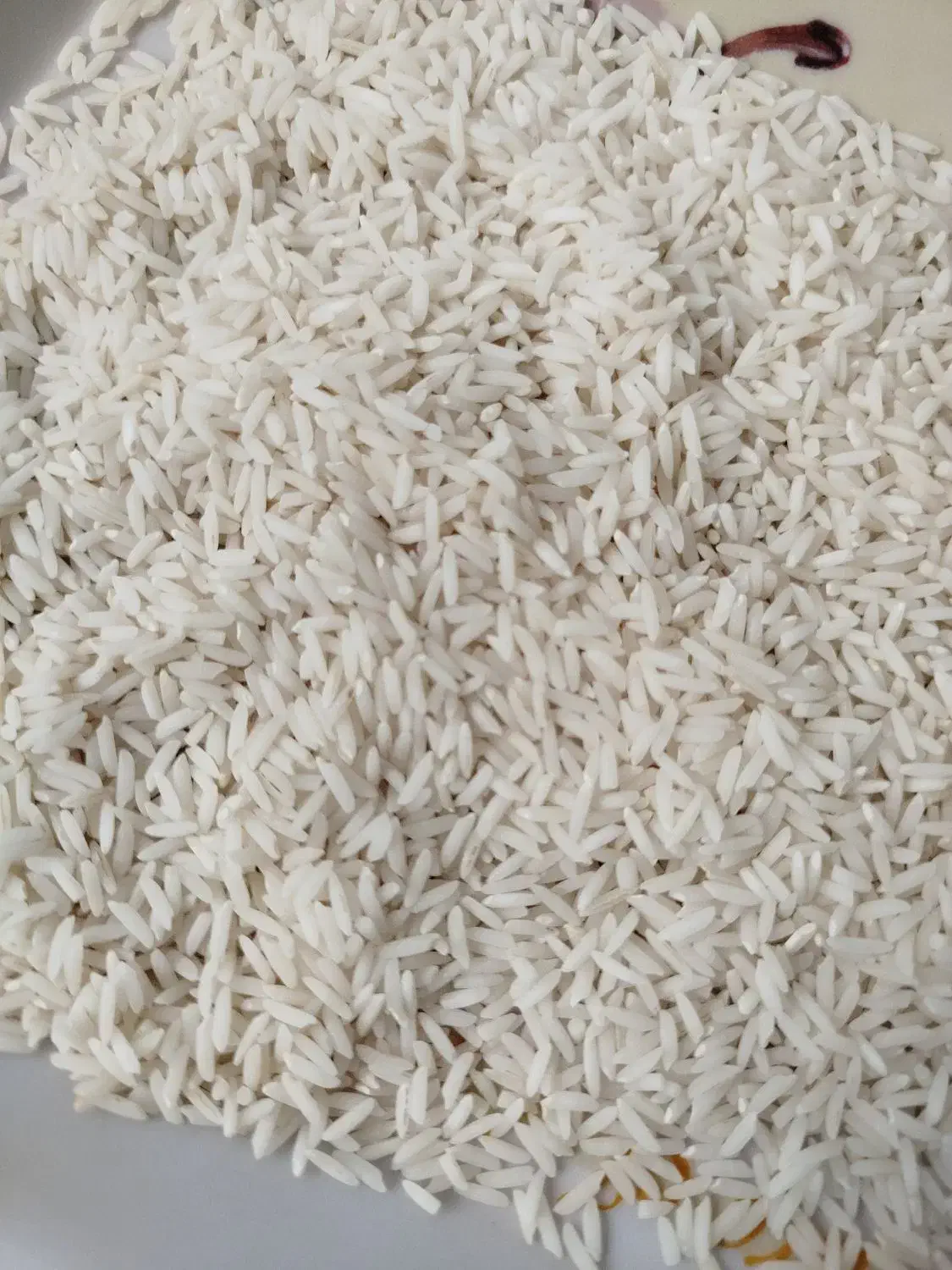 برنج هاشمی اعلا|خوردنی و آشامیدنی|رشت, جانبازان|دیوار