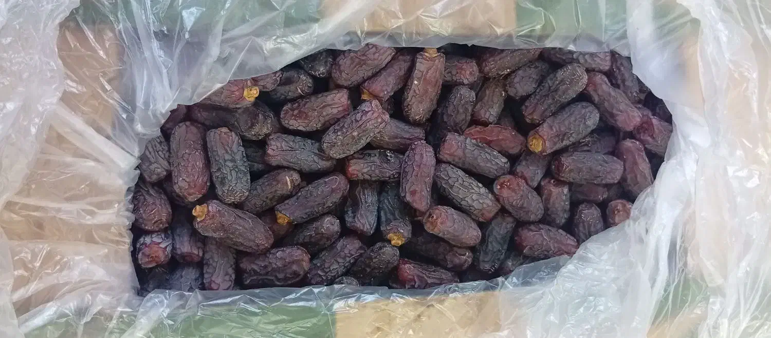 خرمای پیارم -پیارم درجه یک-خرمای جنوب|خوردنی و آشامیدنی|حاجی آباد, |دیوار