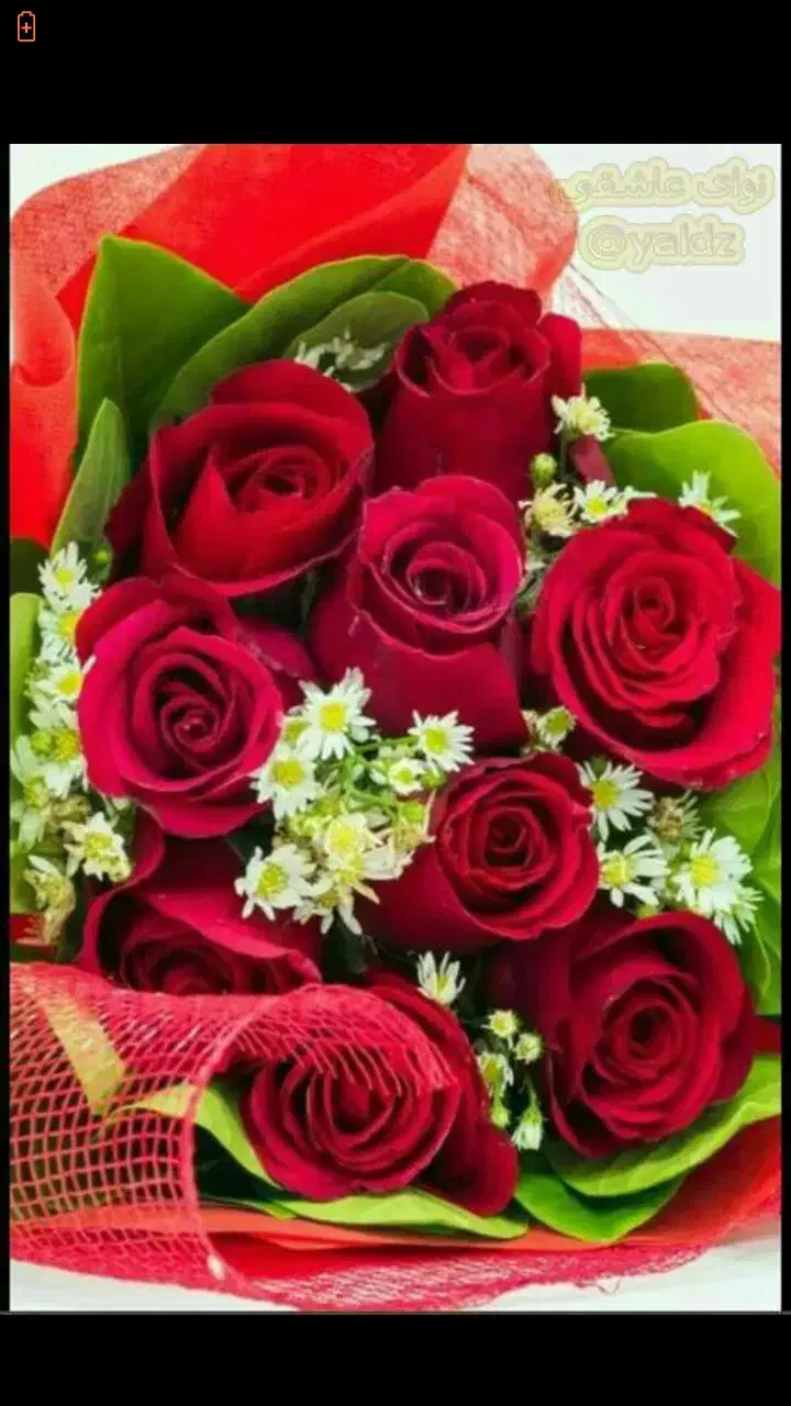 راهنمایی کنید|فعالیت داوطلبانه|قم, ناصردیوان|دیوار