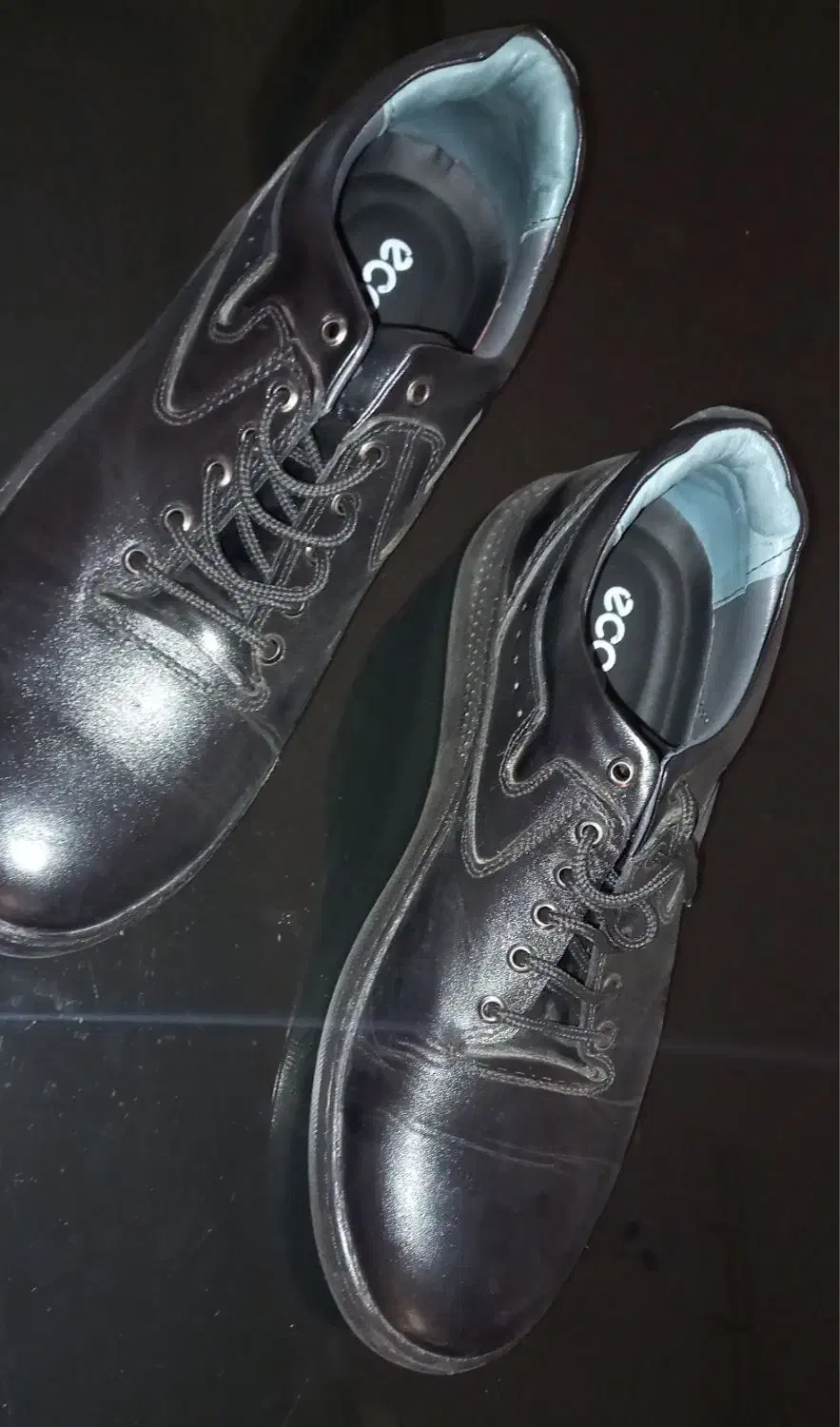 کفش مردانه|کیف، کفش، کمربند|سنندج, |دیوار