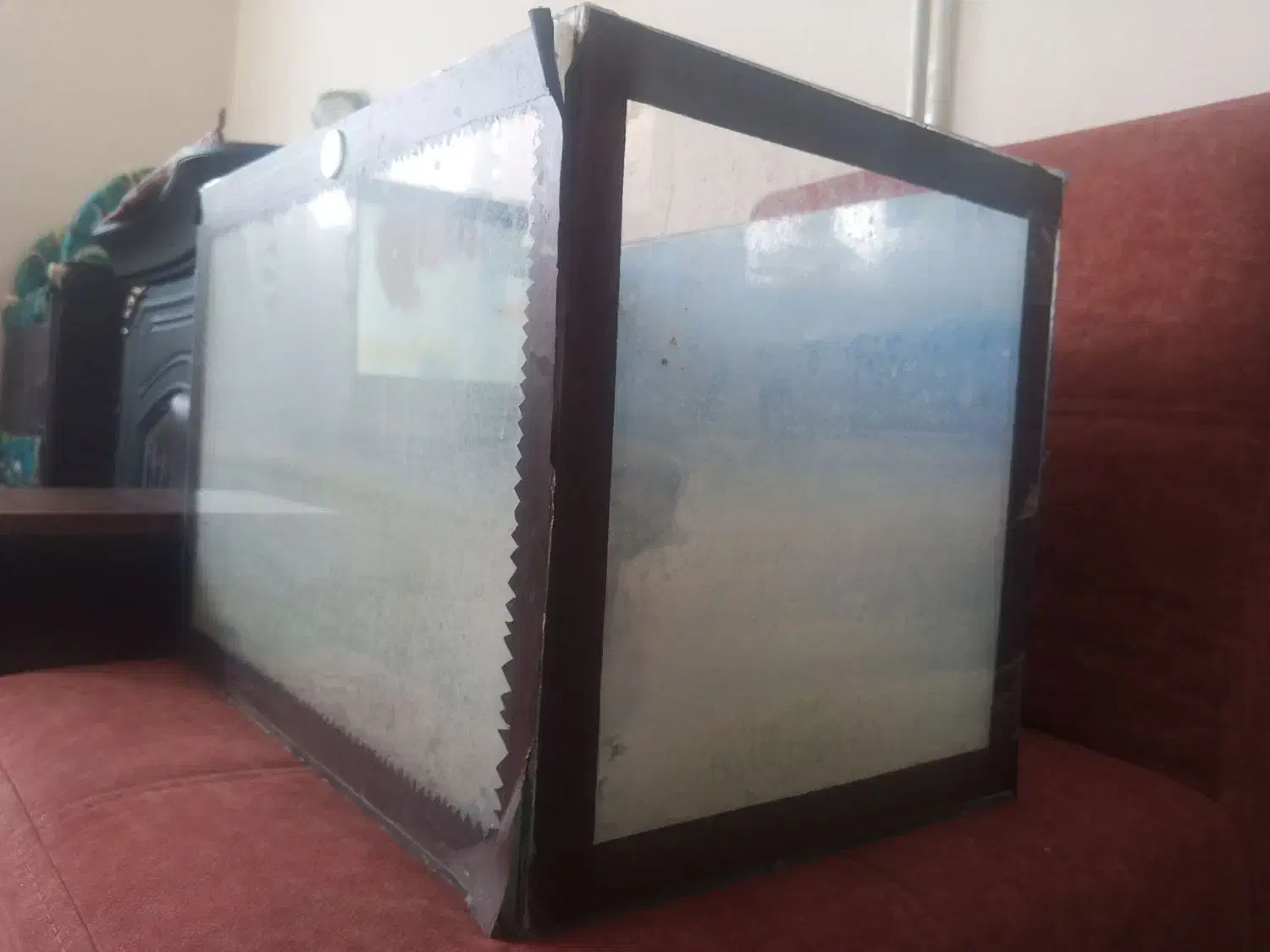 آکواریوم ماهی|ماهی|زاهدان, |دیوار