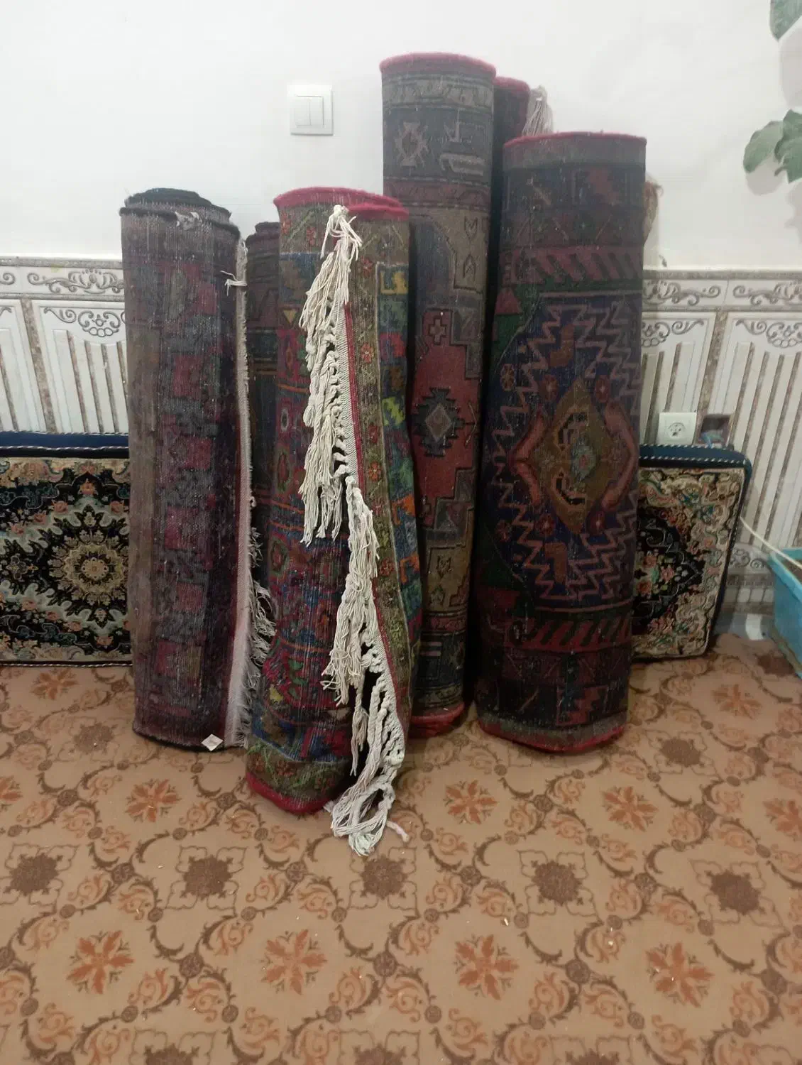 ۵عددفرش دستباف سنتی و۴عدد ماشینی|فرش|سلطانیه, |دیوار