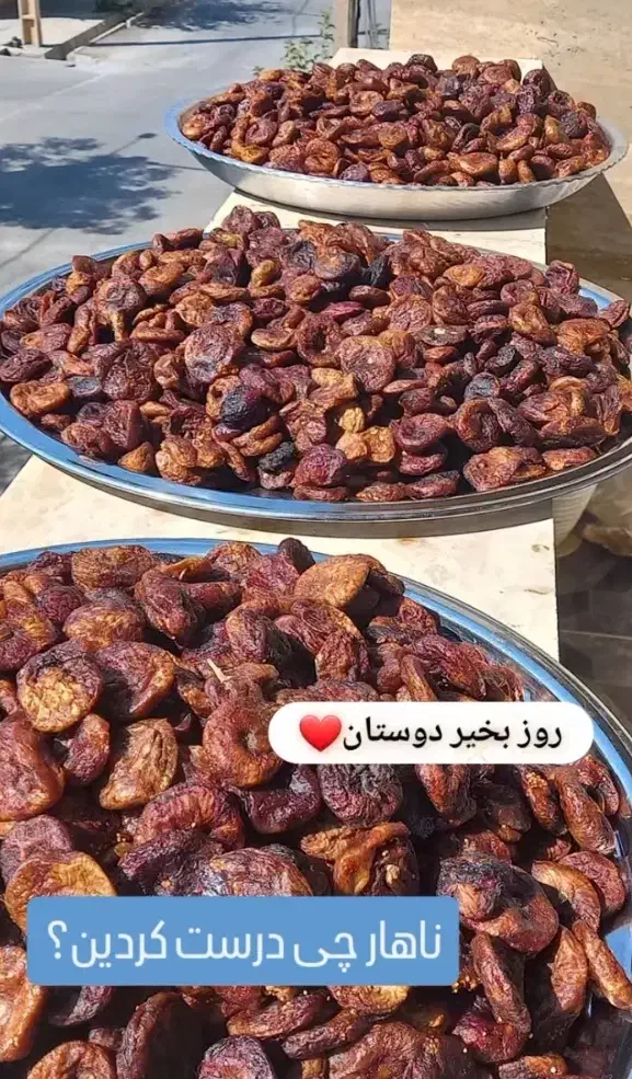 دوچرخه|دوچرخه، اسکیت، اسکوتر|بابل, |دیوار