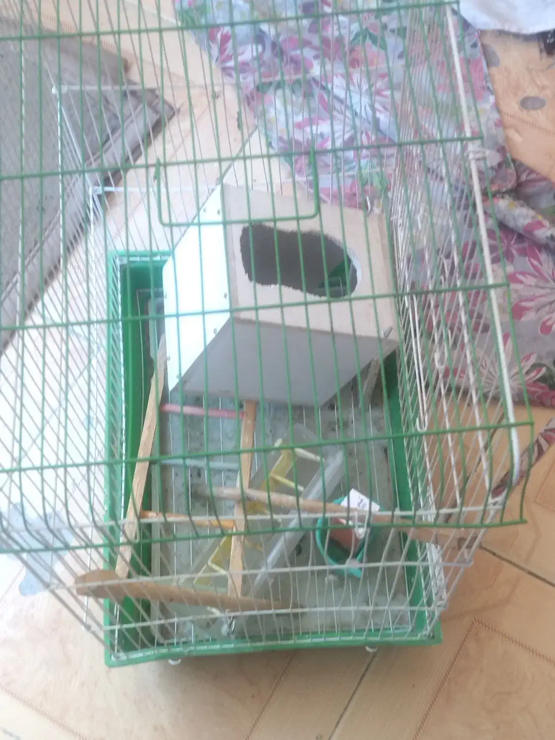 قفس با لوازم|لوازم جانبی حیوانات|مشهد, بهارستان|دیوار