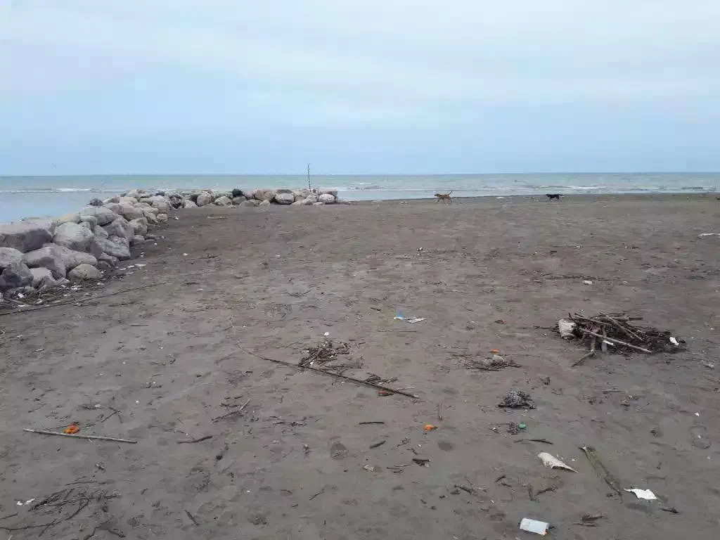 زمین با بر ساحل و جاده در نشتارود|فروش زمین و ملک کلنگی|نشتارود, |دیوار