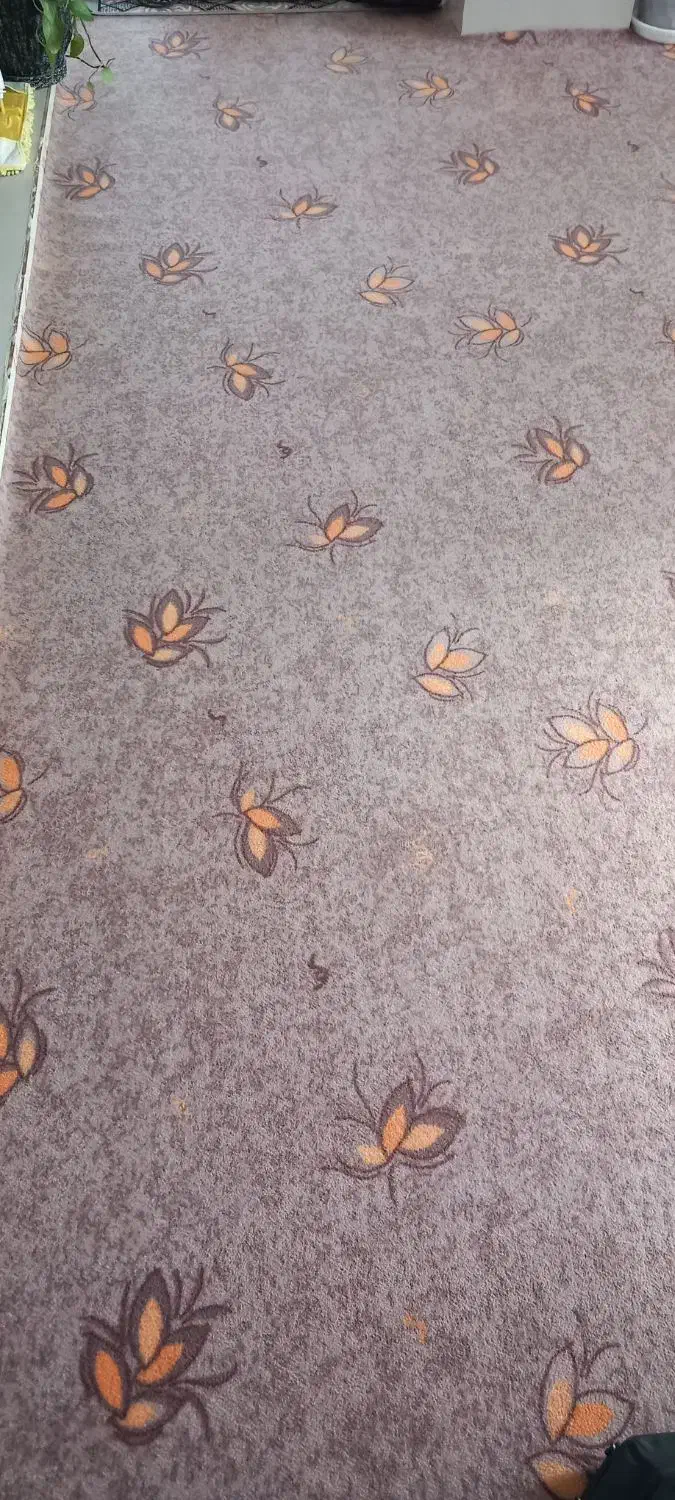 موکت|موکت|خوی, |دیوار