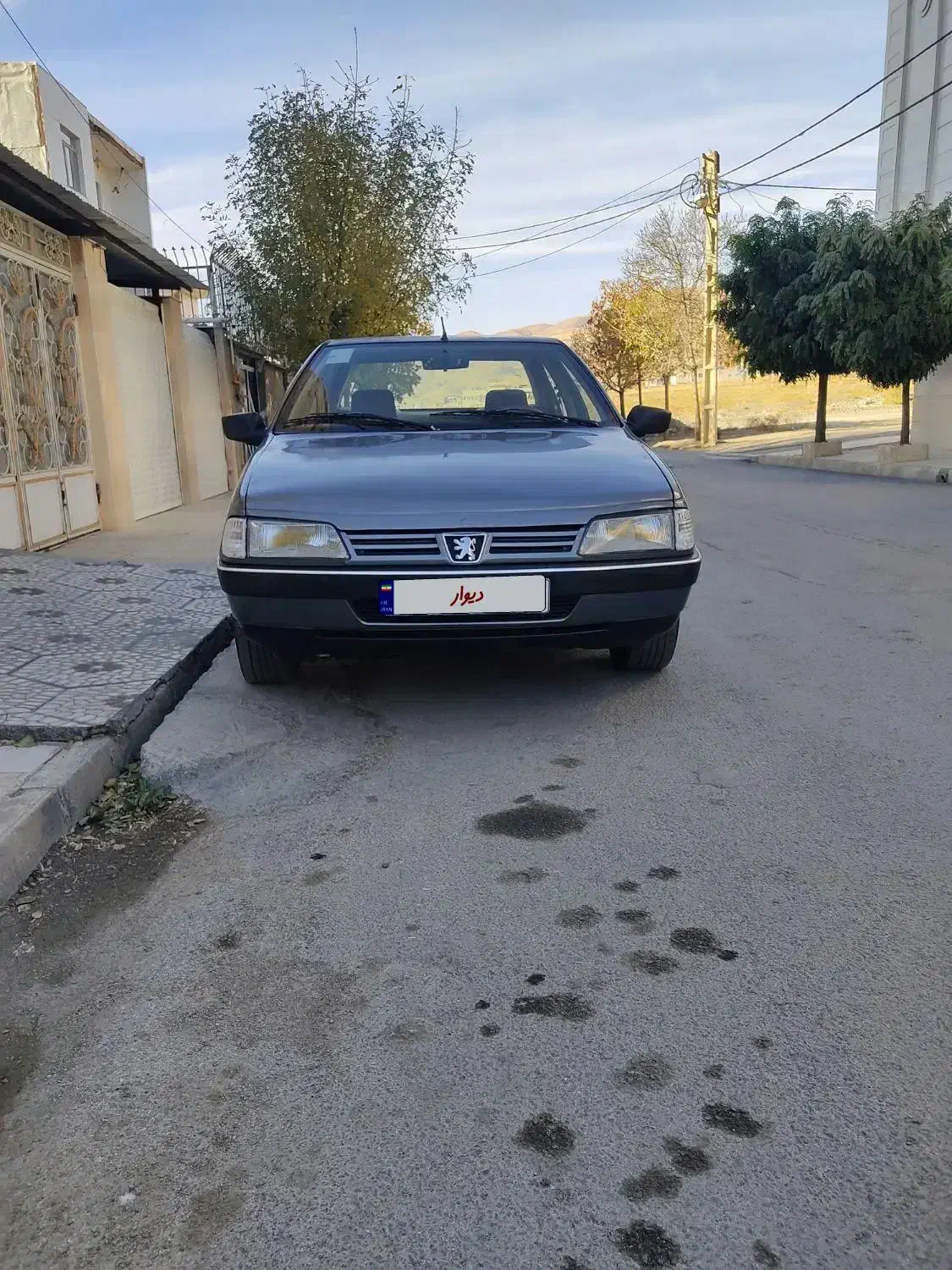 پژو ۴۰۵ دوگانه کارخانه|خودرو سواری و وانت|اسدآباد, |دیوار