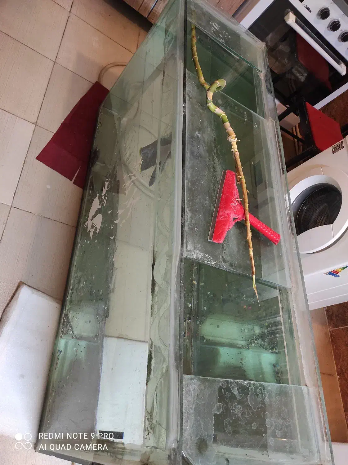 اکواریوم حرفه ای درجه یک بزرگ|ماهی|بروجرد, |دیوار