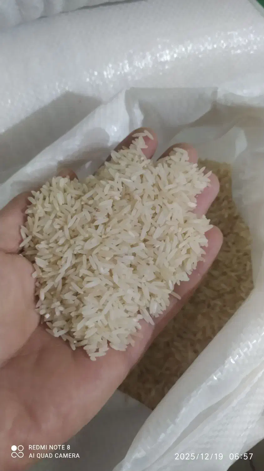 برنج بشرط .خوش عطر بو.|خوردنی و آشامیدنی|گنبد کاووس, |دیوار