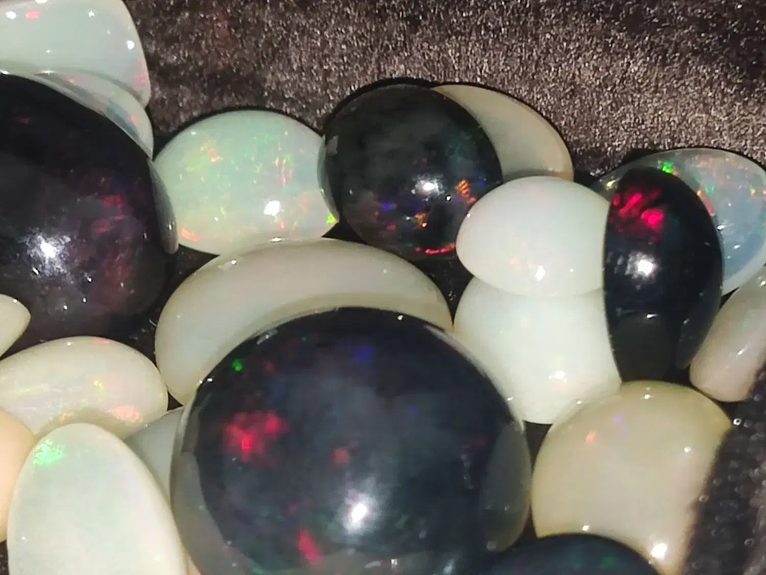 اوپال بلک و سفید|جواهرات|مشهد, امیر|دیوار