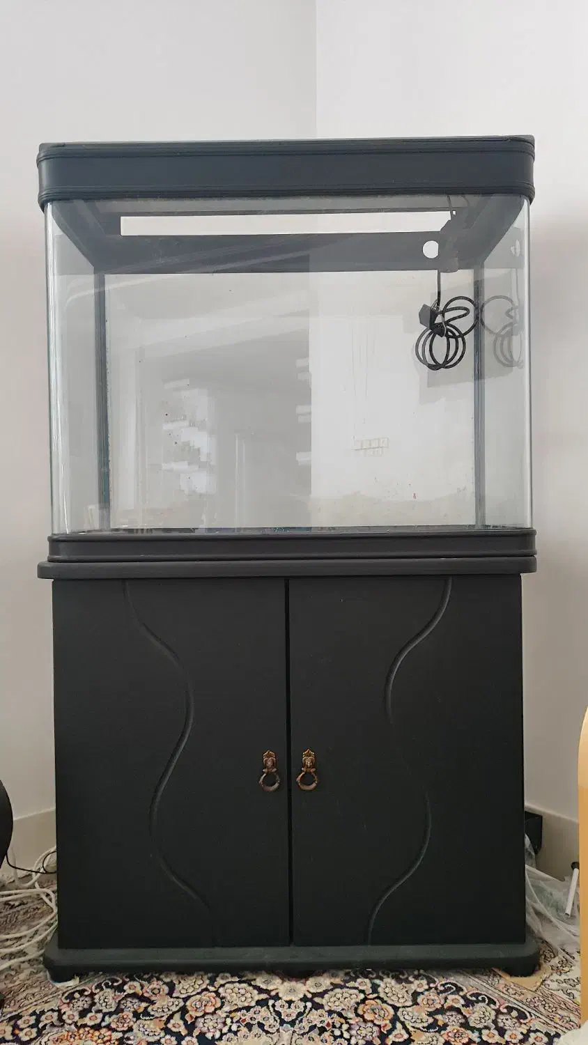 آکواریوم k800 دلسا در حد نو|ماهی|فراشبند, |دیوار