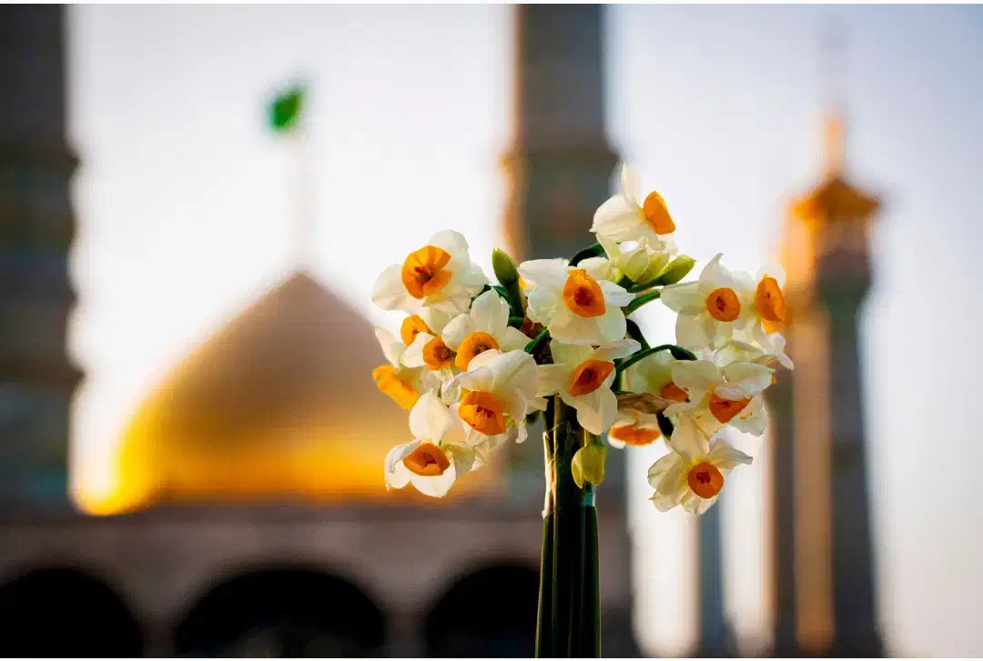 سیم کارت 0912|سیم‌کارت|قم, ارم|دیوار