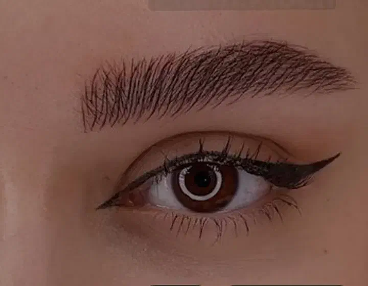 خدمات ارایش دائم صورت|خدمات آرایشگری و زیبایی|رشت, کوی مهر|دیوار