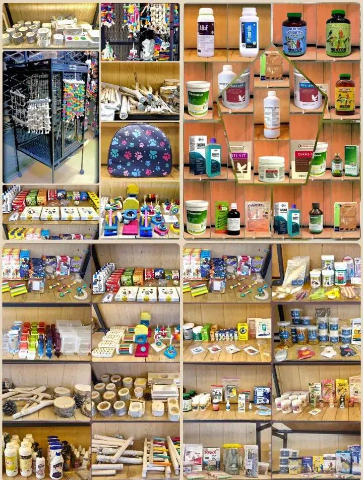 دان وملزومات پرندگان|لوازم جانبی حیوانات|بیجار, |دیوار