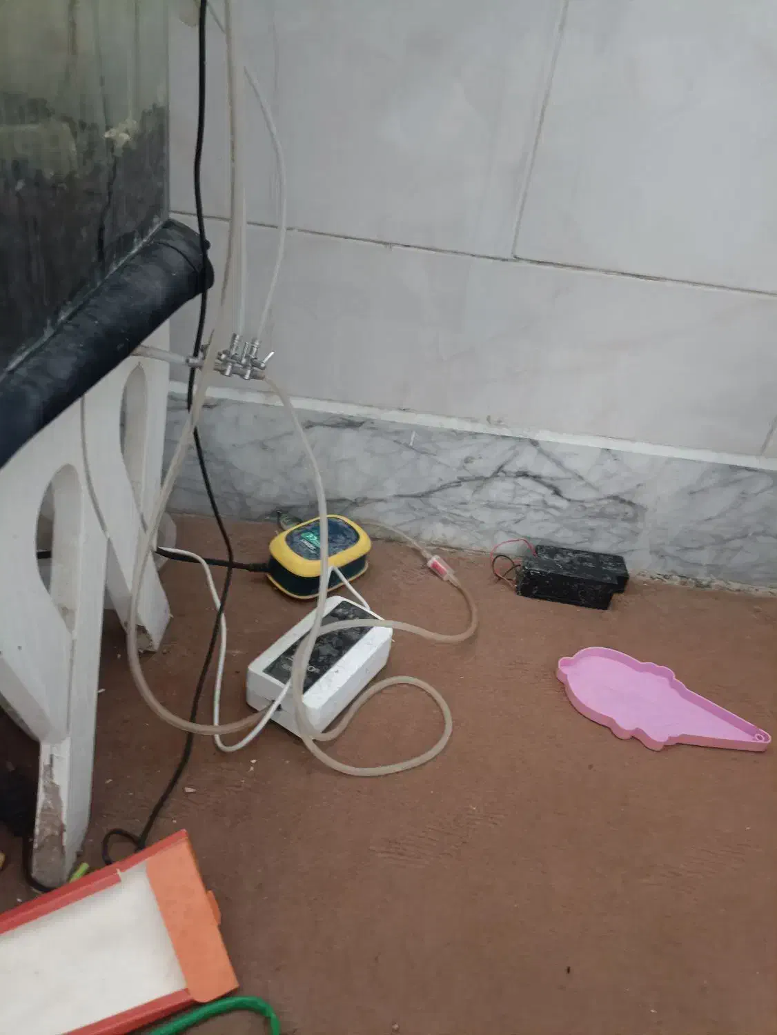 آکواریوم با لوازم کامل و ماهی|ماهی|کاشان, قطب راوندی|دیوار