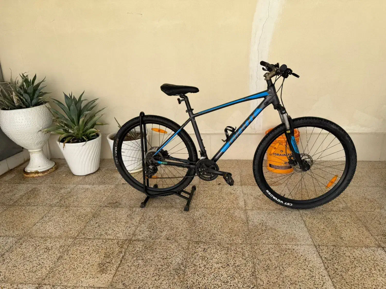 دوچرخه جاینت|دوچرخه، اسکیت، اسکوتر|چاه ورز, |دیوار