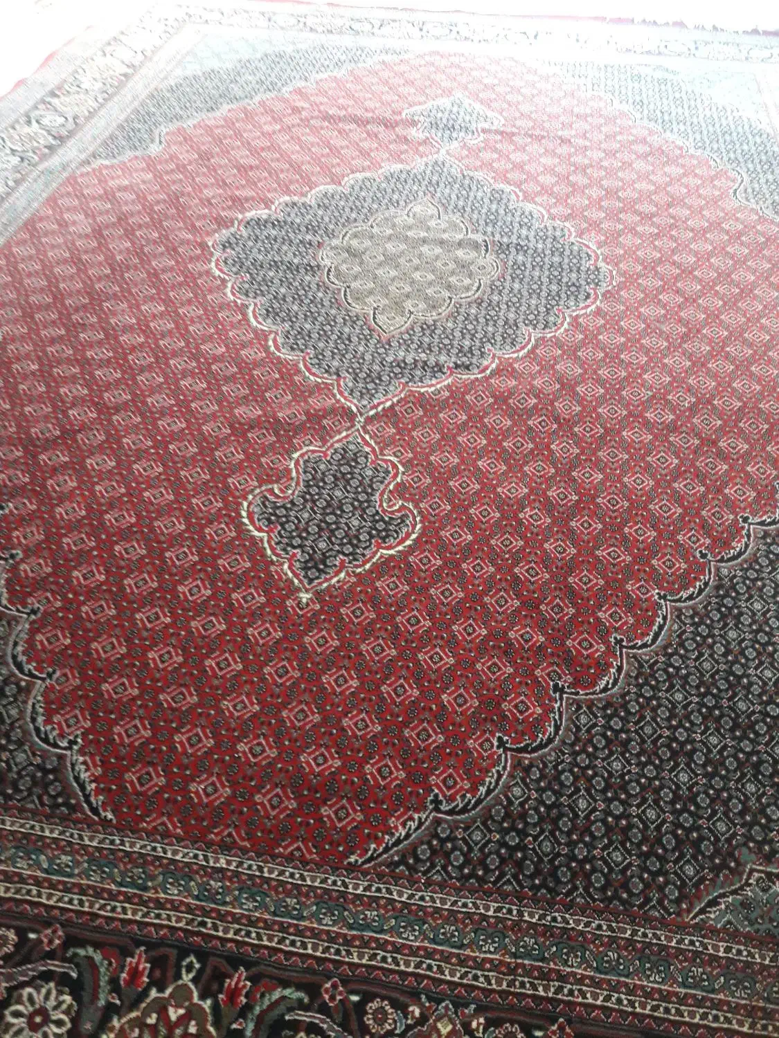 یک عدد فرش ماشینی 12متری|فرش|مراغه, |دیوار