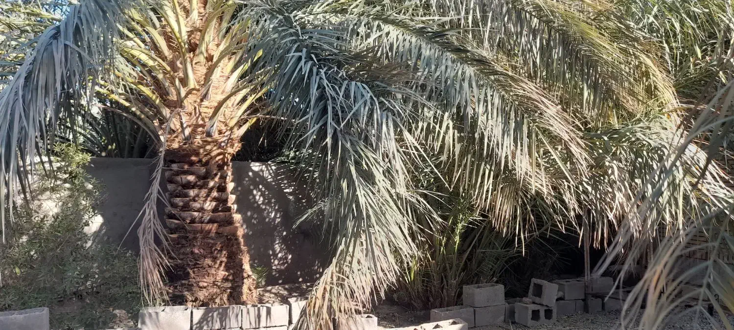 فروش خانه ۶۵ متری نظام شهر مومن اباد کوچه مخابرات|فروش خانه و ویلا|نرماشیر, |دیوار