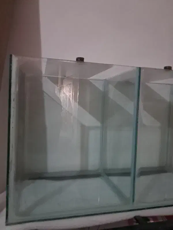 فروش آکواریوم و ماهی انجل و حلزون|ماهی|شهرکرد, |دیوار